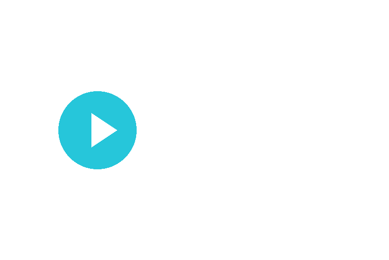 双飞